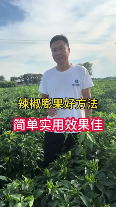 辣椒膨果简单方法#种植小技巧 #辣椒种植 #三农流量扶持计划 #抖音助农扶农 #膨果