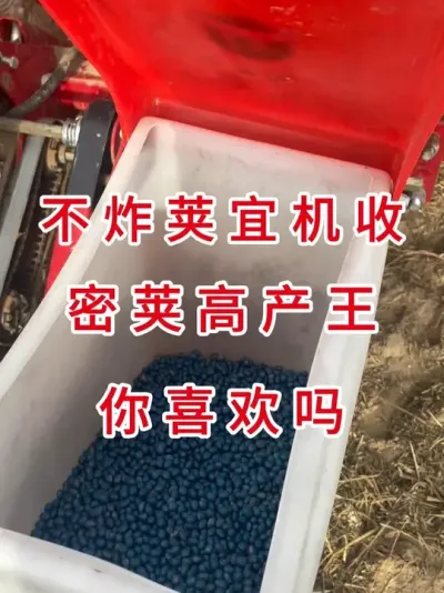 国审大豆高产王，种地大户首选品种 #三农流量扶持计划 #大豆种植 #抖音助农 #产量特别高 #农业种植