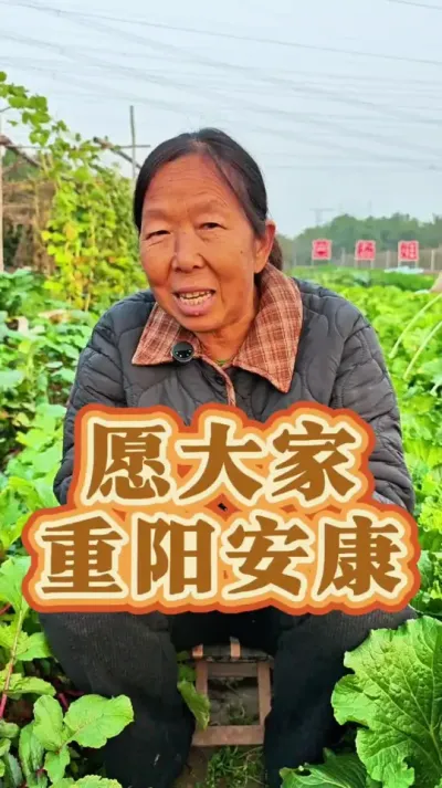 秋高气爽，菊香满径，又是一年重阳时。登高处，望远方，念亲恩。愿清风捎去思念，暖阳温暖岁月，家中长辈安康常乐，身边之人岁岁相依#重阳节 #蔬菜种植 #生菜杨姐 #种植小技巧 @DOU+小助手 @DOU+