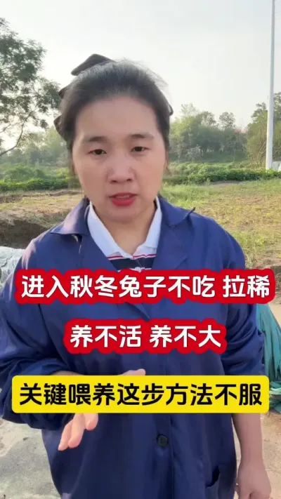 ﶬ½Ҫιⲽû# #С #ֳ #