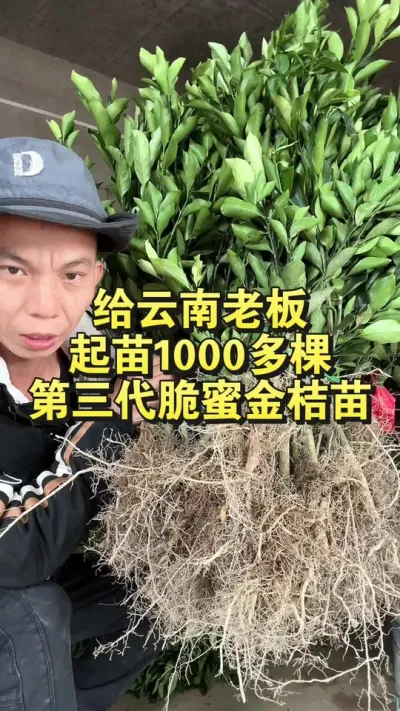 ϰ1000õ۽ô #۽ #ڰ #繩Ӧ