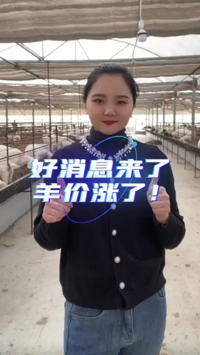 羊价行情#养羊 #养羊人 #养羊技术 #养羊创业