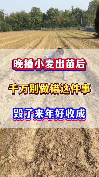 С£#Сݪֲ #С߲ #С #Сݪֲ #ũҵݪֲ