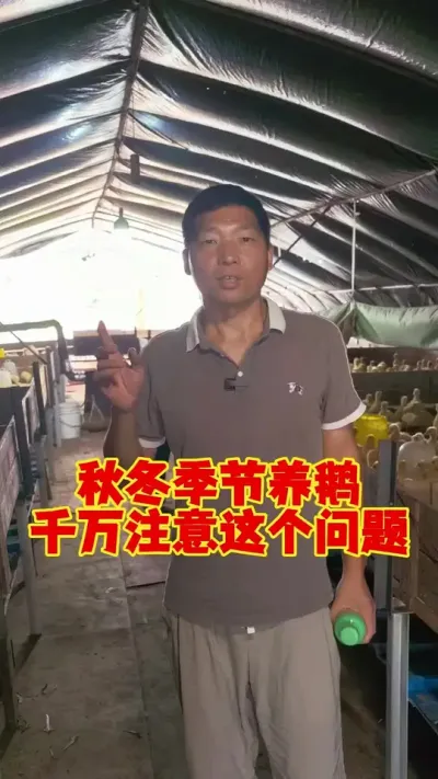 ﶬԤĶ# # # #ʨͷ #