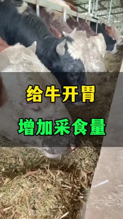 θ߲ʳ#ţֳ#ţֳ#ֳר