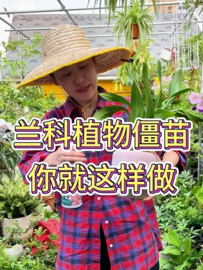 ֲｩ# # #ֲ # #С֪ʶ