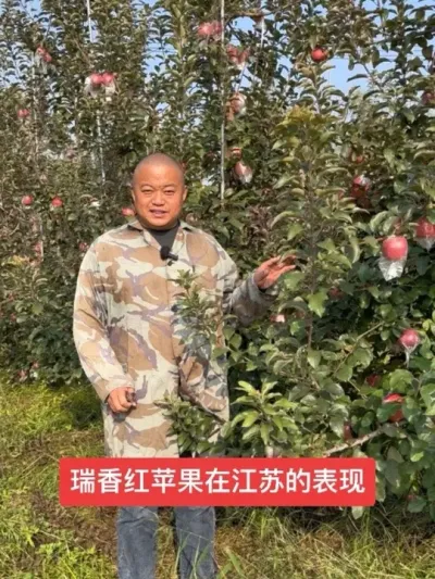 #ũ2025 #ũ #ս #溦#