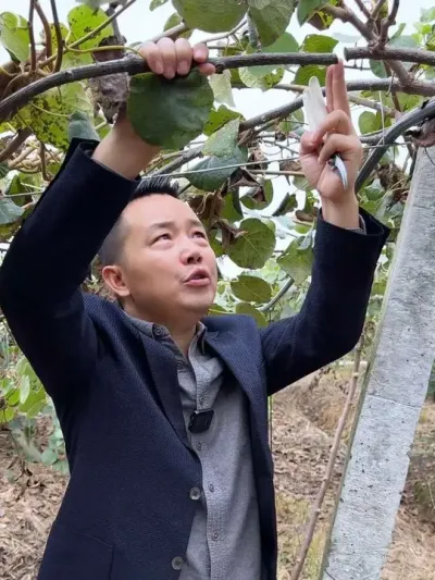 ⨺Ҳ޼˿ϲص #ũ #⨺ݪֲ #ݪֲ #ũҵƹ #ݪֲС