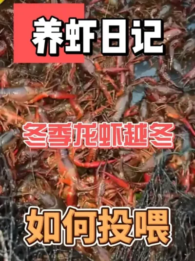 ϺԽ⼸һҪע #ˮֳ #ũ #ũ #ũҵ #СϺ