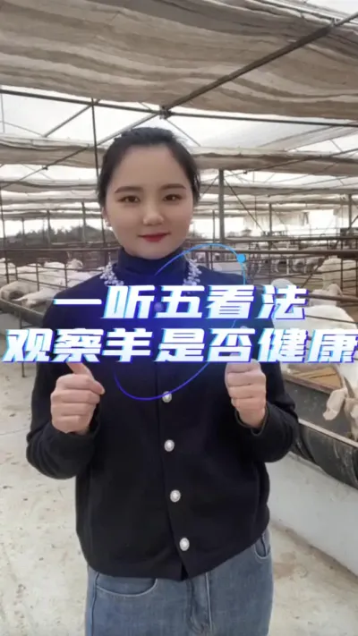 һ忴ӲǷ񿵽# #Է # #ũ #ţֳС֪ʶ