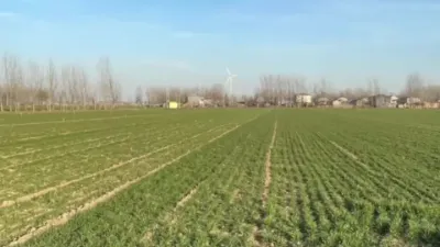 小麦种植 小麦的超高产种植技术#农民种地不容易啊 #分享农业技术知识传播正能量 #分享农业技术助力农民增产增收 #郭佩午 #来抖音学农技