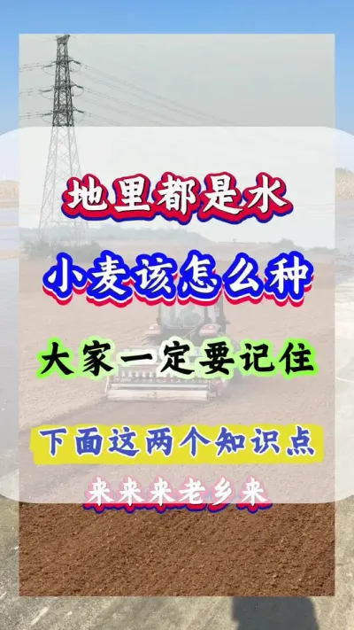 Сݪֲ ﶼˮСôȥһҪ#С#Сݪֲ#С#С#С߲