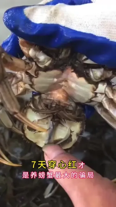 7ĺзĿ#зֳ #Ϻзֳ #зֳ #բзֳ #ũ @DOU+ @DOU+С