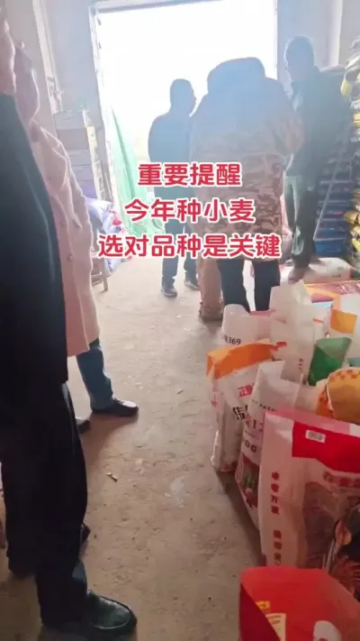 Ʒֵѡֱӹϵջ#ũ#ũ#ݪֲ#ũ#DOU