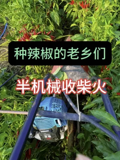 ջ֮ ķ#ũũ  #ũ֧ũ #ũ #ջļ #ũֵؽֹ