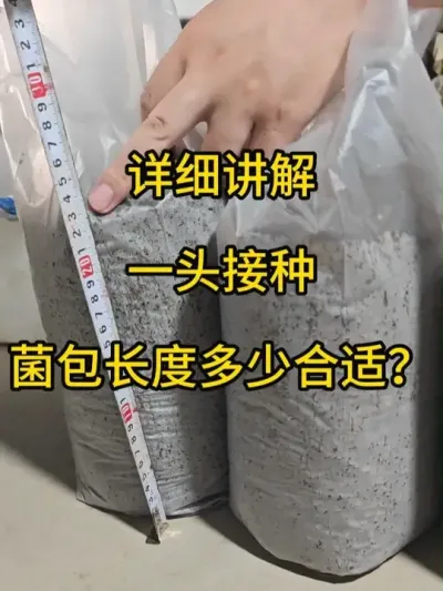 ϸ˵һͷֵľȼ#ƽݪֲ #ƽ #ʳþݪֲ #ݪֲ