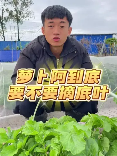 ܲҪҪժҶ #ݪֲС #ֲ #עһѧֲ #ԼֵĴȻɫ߲ #ҵС԰