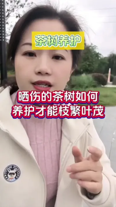 #ݪֲ ɹ˵Ĳ# # #ɹ #ѿ