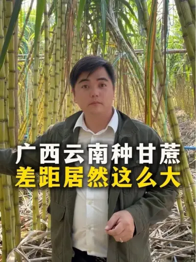 ָȻô##ݪֲ#ݪֲС #ũҵ֪ʶũ #ղӲԭ