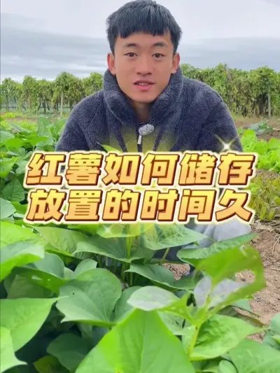 ŵʱ~ #ݪֲС #ֲ #עһѧֲ # #ҵС԰