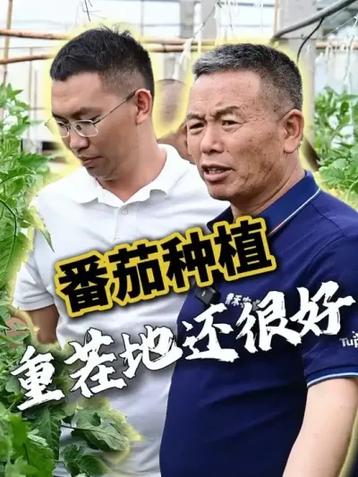 ݪֲһһֳƻܺõļƻֳƷʵķ#ݪֲ #ũҵ #ũ #ũ #