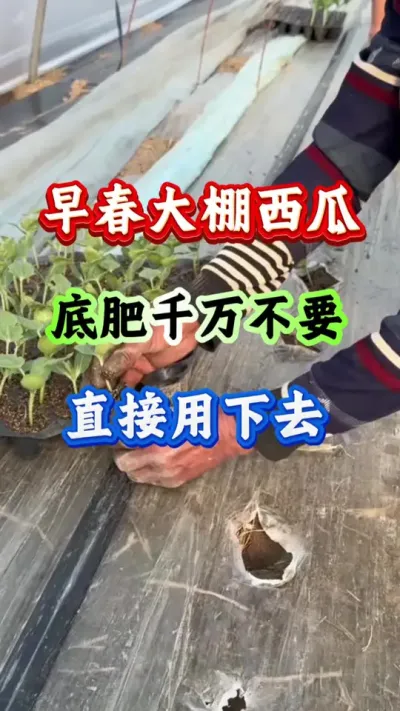 ݪֲ 紺ϵ׷Ҫֱȥ #ݪֲ #Ϲ #ϸ߲ #紺