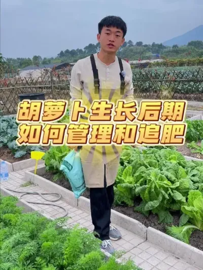 ܲ׷ #ݪֲС #ֲ #עһѧֲ #ҵС԰ #ͥݪֲ