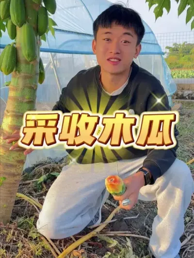 С԰ľ~ #ݪֲС #עһѧֲ #ֲ #ͥݪֲ #ľݪֲ