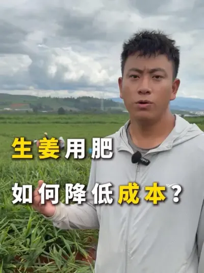 ݪֲͱǮ##ݪֲ##뾫#ũ2025