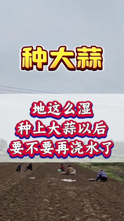 ôʪϴԺҪҪٽˮ#ݪֲ#ִ#Ƥ#߲#