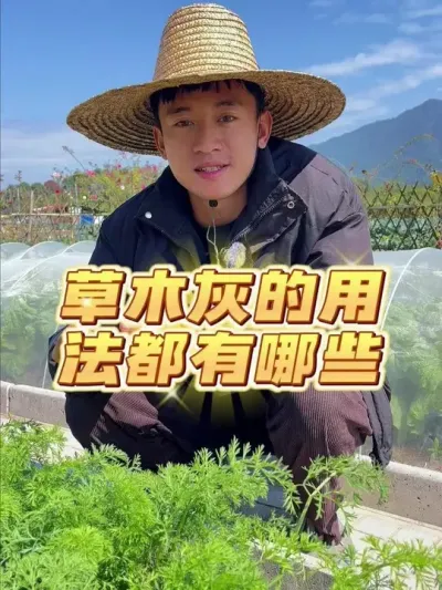 ľҵ÷Щ #ݪֲС #ľ #ֲ #עһѧֲ #ҵС԰