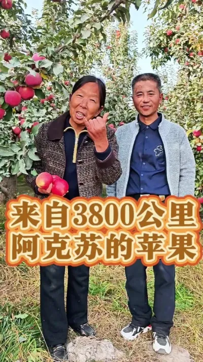 3800Ⱒյƻ յƻ#յļ #ƻ # #ձƻ #