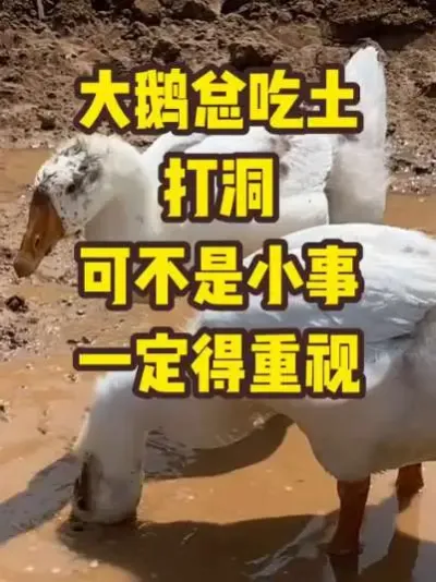 ܳɲСһ#ũ##ֳ