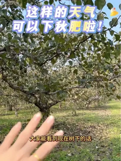 ٭#ѧũ #ũũ # #ũݪֲ #ũ