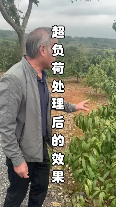 ҹֲʵʱ´Ҷ̶ӦӪܰʱƷȻַ#ѧũ #ͷʵٸɻ #ũ # #