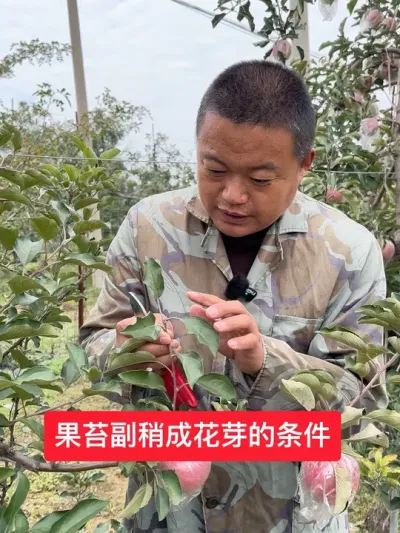 #ũ #ũ2025 #ս #溦#