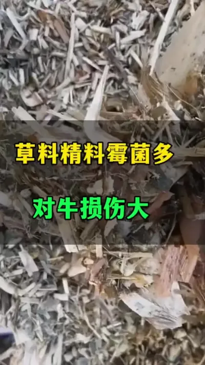 Ϸùţ˺ܴ#ţֳ#ţֳ#ţֳ