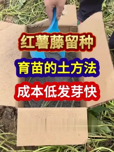 Ҫ챾Ǯͳѿ #ݪֲ #ݪֲС #ũҵݪֲ #ũ #ũҵ֪ʶũ