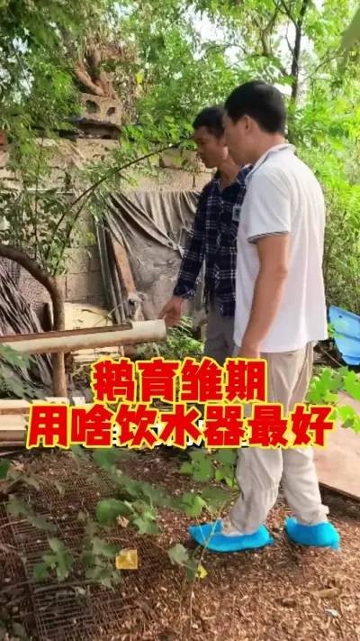 Сʲôˮ# # #ʨͷ # #