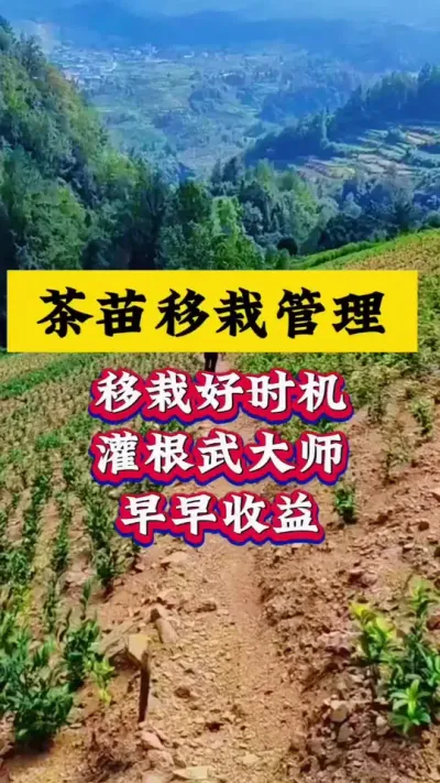 Ժʱ޽Գɻ#ݪֲ #԰ # #޽