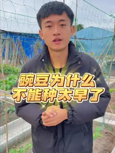 㶹Ϊʲô̫ #ݪֲС #ֲ #㶹ݪֲ #עһѧֲ #ԼֵĴȻɫ߲