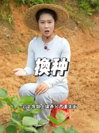 ͳһǲƼֵ #ũ #ũҵݪֲ #ݪֲС #ũ #עũ