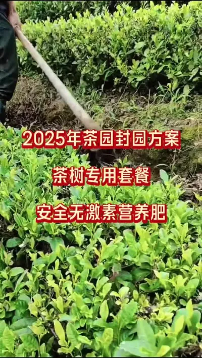 #԰#ﶬ԰Ҵִ#ݪֲ #ũ