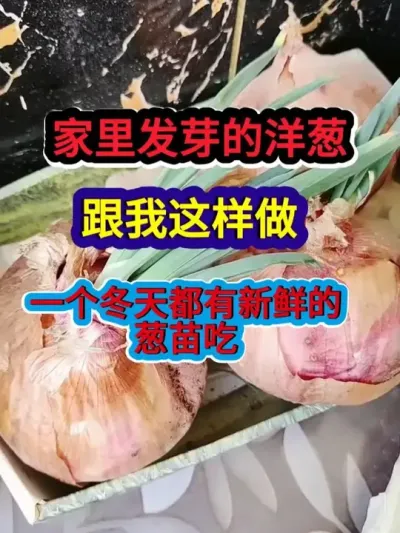 ѿиһ춼ʵĴ #ݪֲ #ũҵݪֲ #ݪֲС #ũ #ũҵ֪ʶũ