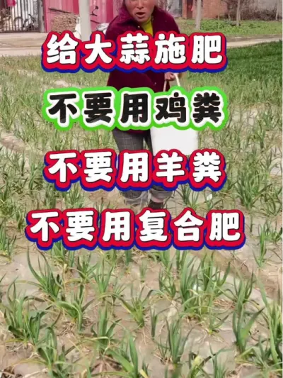 ʩʲҪüҪҪøϷʣ #ݪֲ #߲ #ʩ # #ũҵݪֲ