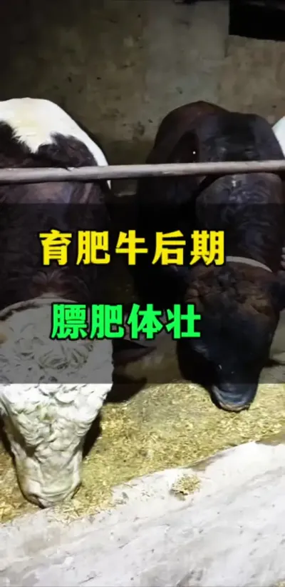 ţڴ߷ؿ#ţֳ #ţ #ֳ