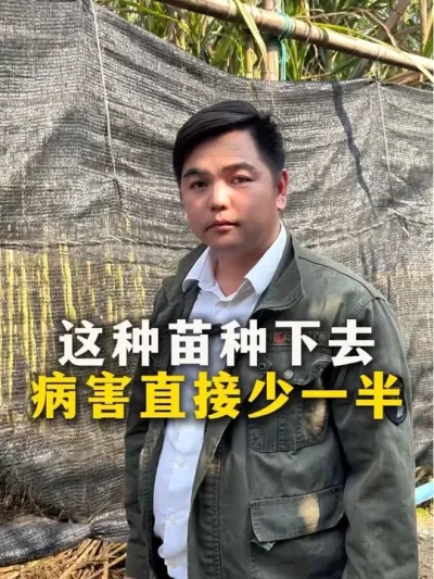 ȥֱһ##ݪֲ#ݪֲС #ũҵ֪ʶũ #ղӲԭ