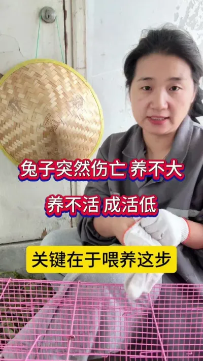 ӲϡͻȻ½½һҪ°빦# # # #С #ֳ