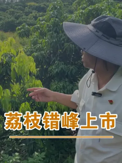 ֦Ĵ#ɽ֦#ũҵҵ#ũ2025#ֹ#֦ݪֲ@