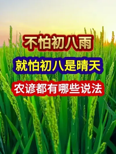 ³³ũ趼Щ˵ #ũҵ #ũ #ũϻ #ũ #ũҵݪֲ